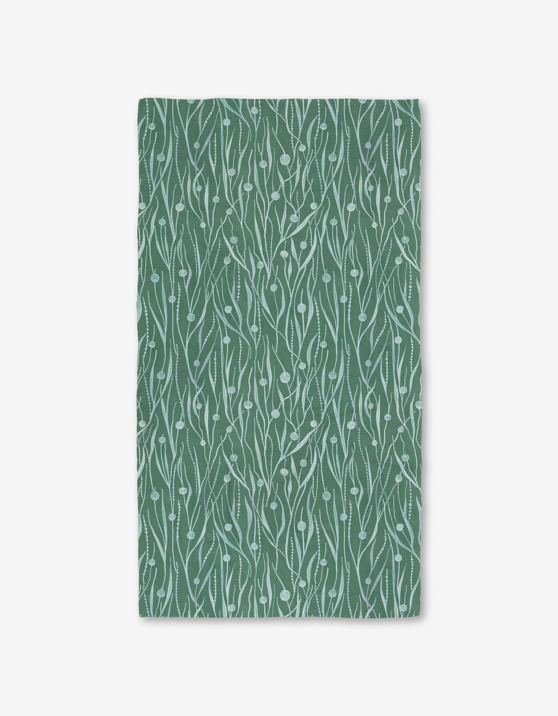 Kelp