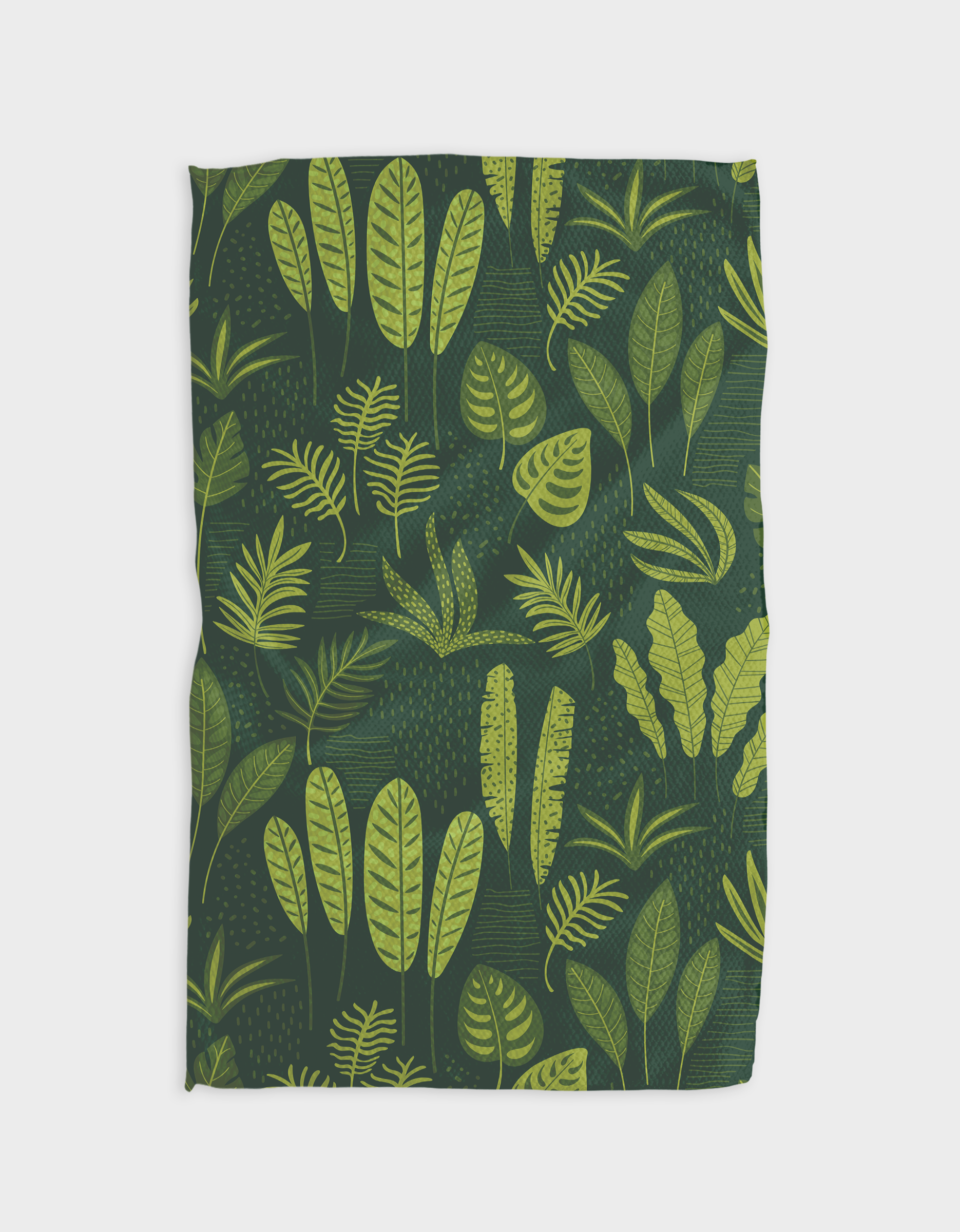 Fern