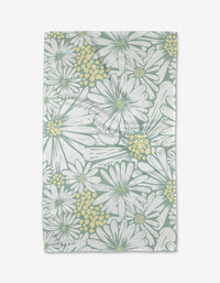 English Daisies